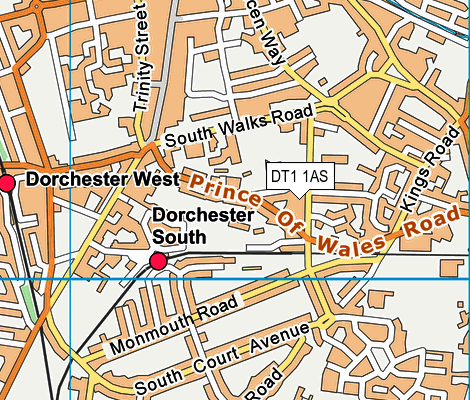 DT1 1AS map - OS VectorMap District (Ordnance Survey)