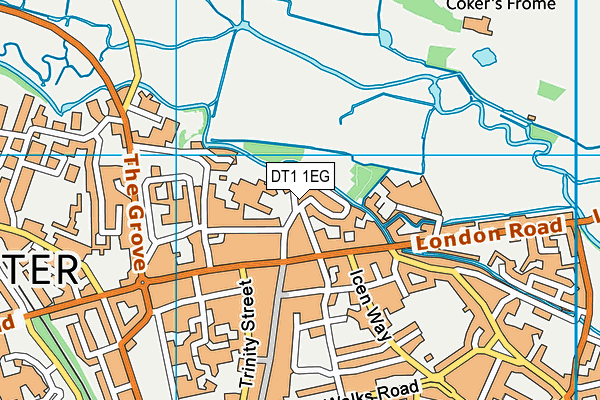 DT1 1EG map - OS VectorMap District (Ordnance Survey)