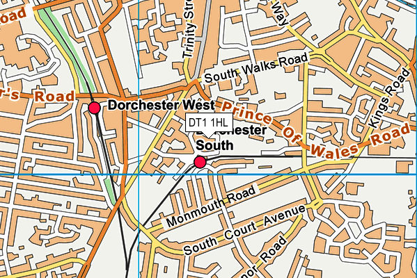 DT1 1HL map - OS VectorMap District (Ordnance Survey)
