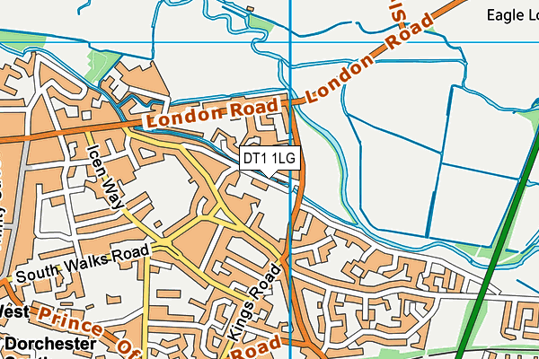 DT1 1LG map - OS VectorMap District (Ordnance Survey)