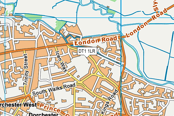 DT1 1LR map - OS VectorMap District (Ordnance Survey)