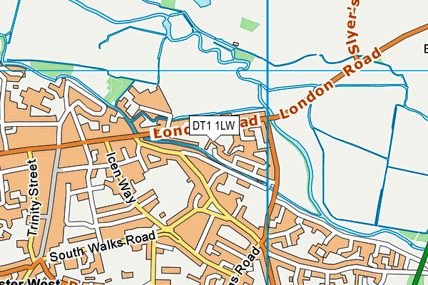 DT1 1LW map - OS VectorMap District (Ordnance Survey)