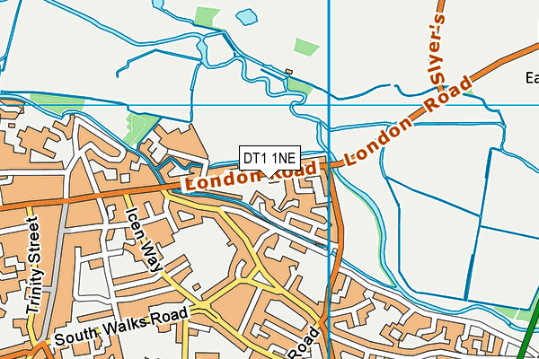DT1 1NE map - OS VectorMap District (Ordnance Survey)