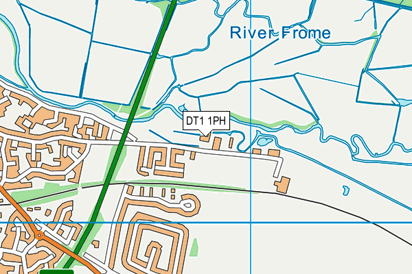 DT1 1PH map - OS VectorMap District (Ordnance Survey)