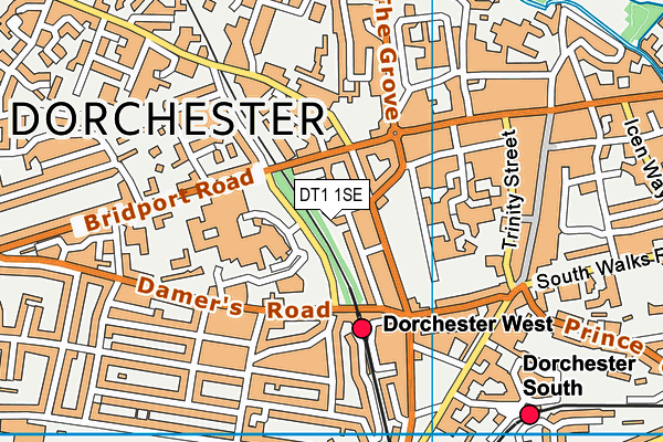 DT1 1SE map - OS VectorMap District (Ordnance Survey)