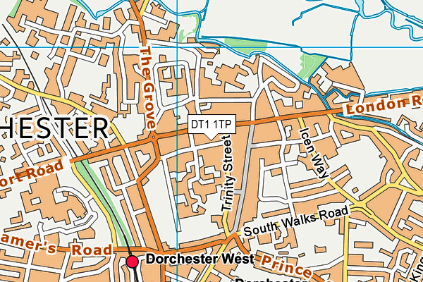 DT1 1TP map - OS VectorMap District (Ordnance Survey)