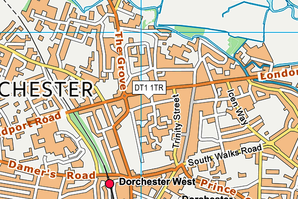 DT1 1TR map - OS VectorMap District (Ordnance Survey)