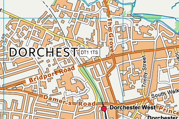 DT1 1TS map - OS VectorMap District (Ordnance Survey)
