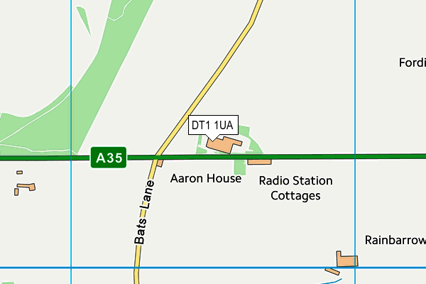 DT1 1UA map - OS VectorMap District (Ordnance Survey)