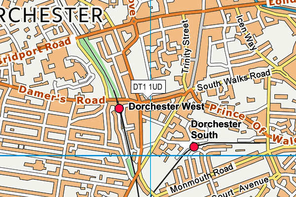 DT1 1UD map - OS VectorMap District (Ordnance Survey)