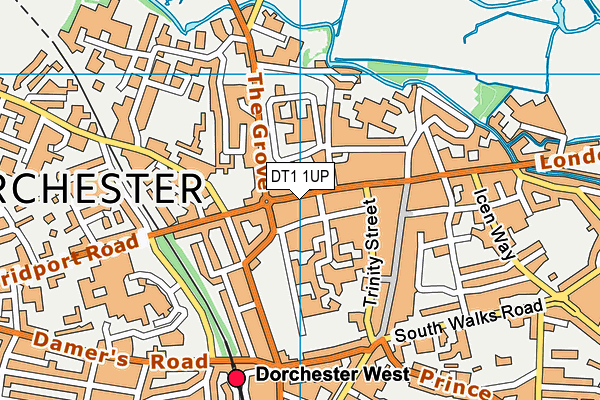 DT1 1UP map - OS VectorMap District (Ordnance Survey)
