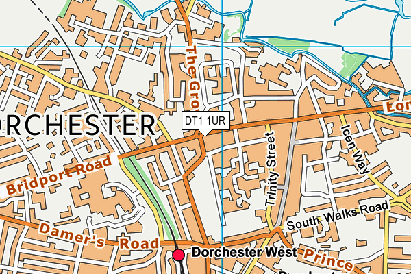 DT1 1UR map - OS VectorMap District (Ordnance Survey)