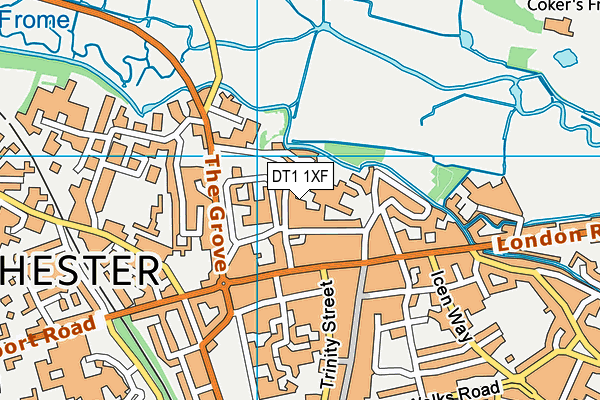 DT1 1XF map - OS VectorMap District (Ordnance Survey)