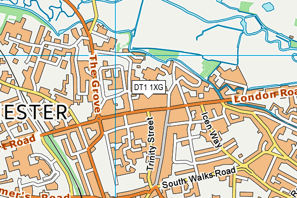 DT1 1XG map - OS VectorMap District (Ordnance Survey)