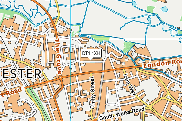 DT1 1XH map - OS VectorMap District (Ordnance Survey)