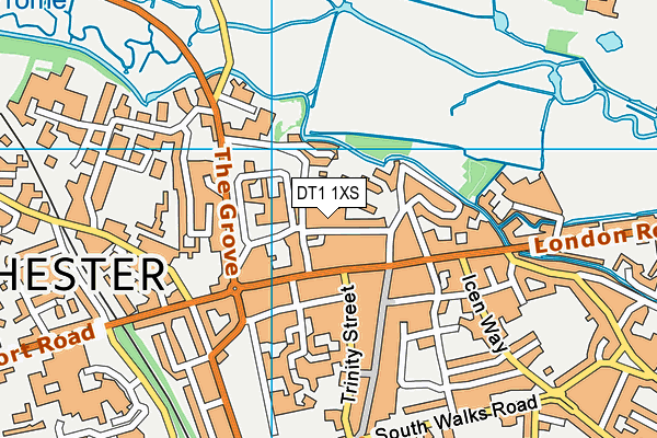 DT1 1XS map - OS VectorMap District (Ordnance Survey)