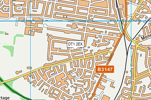 DT1 2EX map - OS VectorMap District (Ordnance Survey)