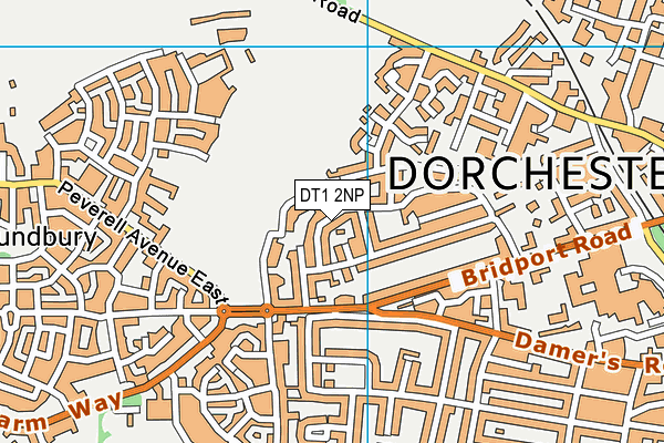 DT1 2NP map - OS VectorMap District (Ordnance Survey)