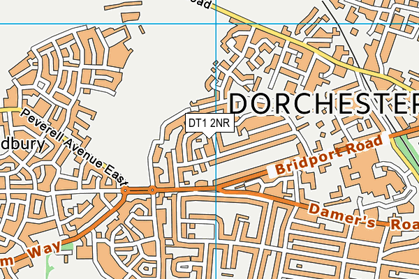 DT1 2NR map - OS VectorMap District (Ordnance Survey)