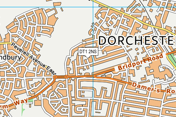 DT1 2NS map - OS VectorMap District (Ordnance Survey)