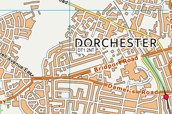 DT1 2NT map - OS VectorMap District (Ordnance Survey)