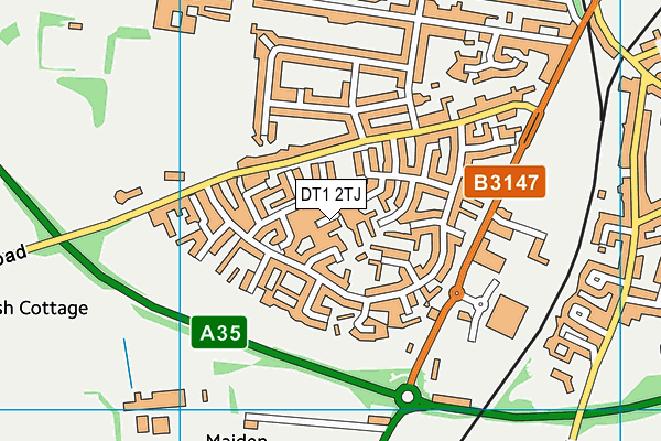 DT1 2TJ map - OS VectorMap District (Ordnance Survey)