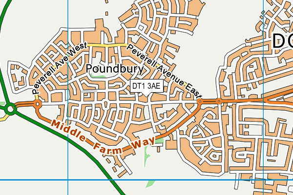 DT1 3AE map - OS VectorMap District (Ordnance Survey)