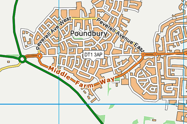 DT1 3AP map - OS VectorMap District (Ordnance Survey)