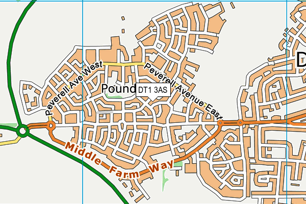 DT1 3AS map - OS VectorMap District (Ordnance Survey)