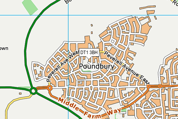DT1 3BH map - OS VectorMap District (Ordnance Survey)