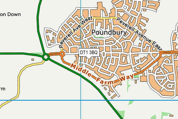 DT1 3BQ map - OS VectorMap District (Ordnance Survey)