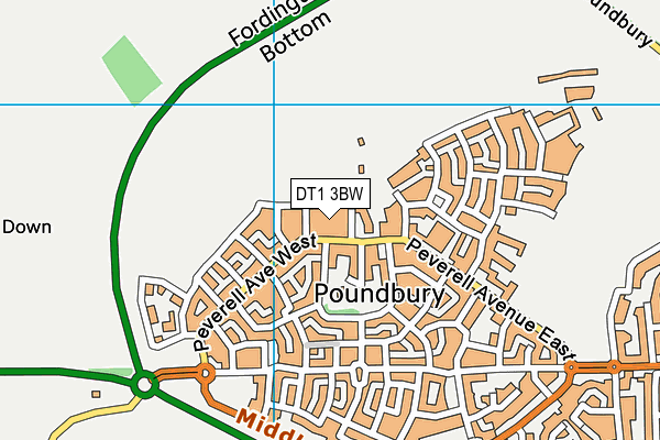 DT1 3BW map - OS VectorMap District (Ordnance Survey)
