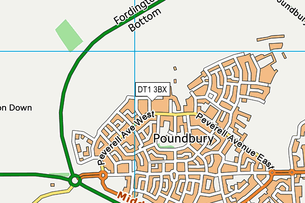 DT1 3BX map - OS VectorMap District (Ordnance Survey)