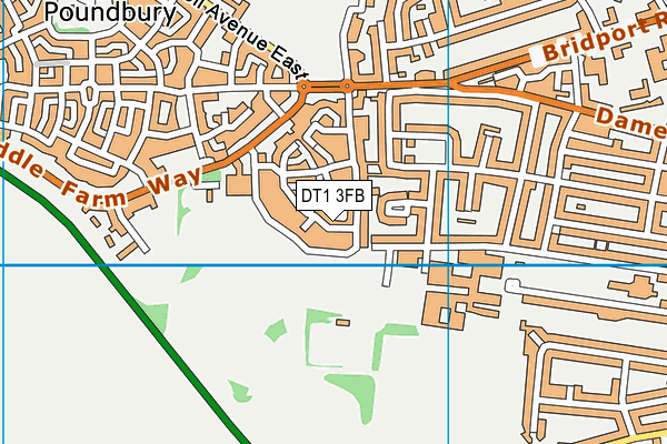 DT1 3FB map - OS VectorMap District (Ordnance Survey)
