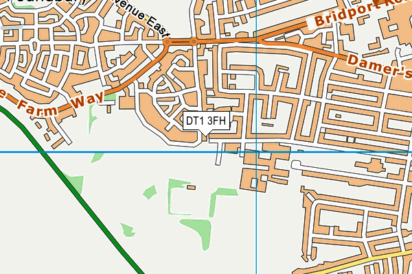 DT1 3FH map - OS VectorMap District (Ordnance Survey)