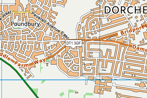 DT1 3GF map - OS VectorMap District (Ordnance Survey)