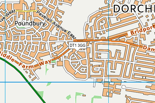 DT1 3GG map - OS VectorMap District (Ordnance Survey)