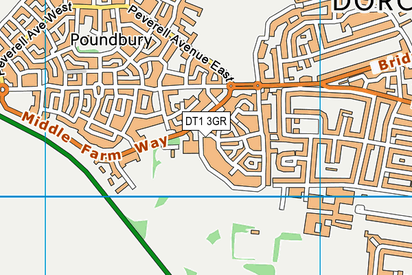DT1 3GR map - OS VectorMap District (Ordnance Survey)