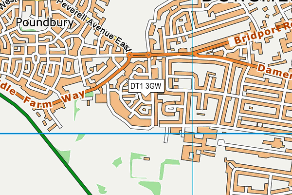 DT1 3GW map - OS VectorMap District (Ordnance Survey)