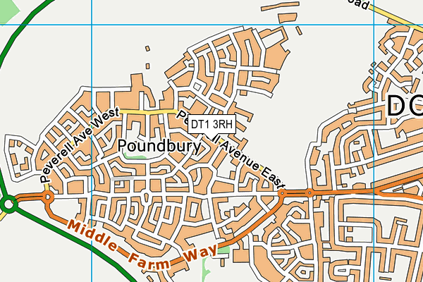 DT1 3RH map - OS VectorMap District (Ordnance Survey)