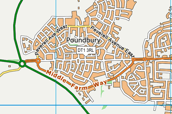 DT1 3RL map - OS VectorMap District (Ordnance Survey)
