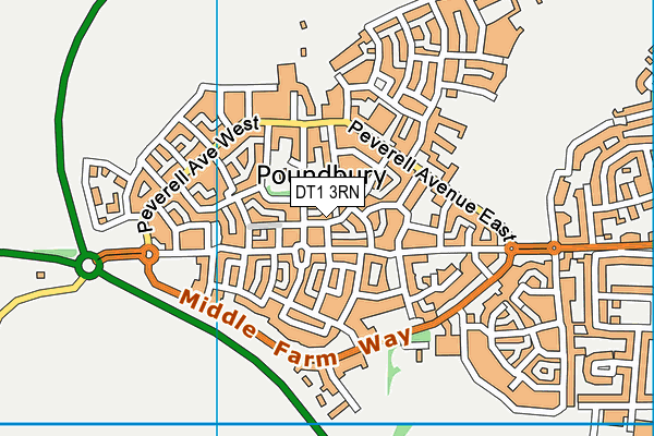 DT1 3RN map - OS VectorMap District (Ordnance Survey)