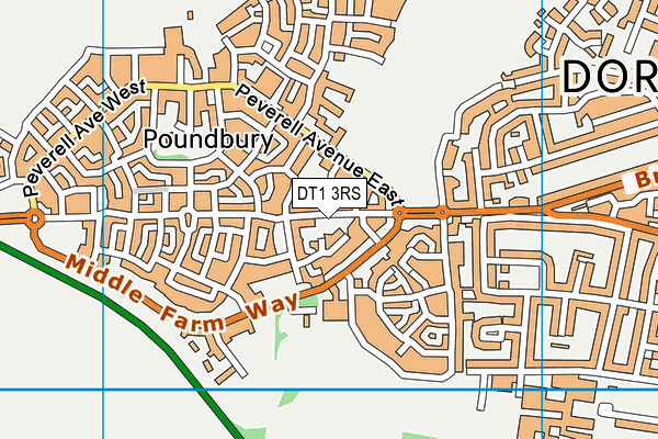 DT1 3RS map - OS VectorMap District (Ordnance Survey)