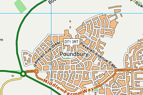 DT1 3RT map - OS VectorMap District (Ordnance Survey)