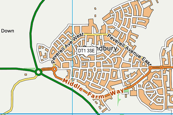 DT1 3SE map - OS VectorMap District (Ordnance Survey)