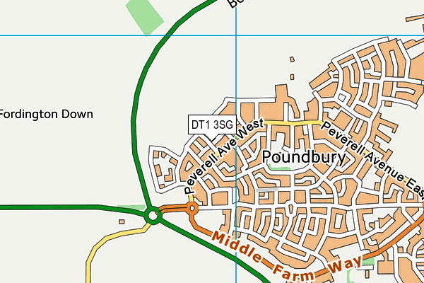 DT1 3SG map - OS VectorMap District (Ordnance Survey)