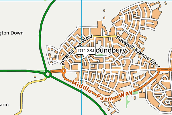 DT1 3SJ map - OS VectorMap District (Ordnance Survey)