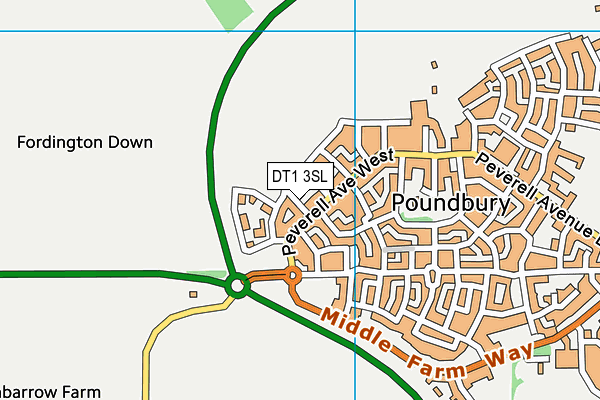DT1 3SL map - OS VectorMap District (Ordnance Survey)