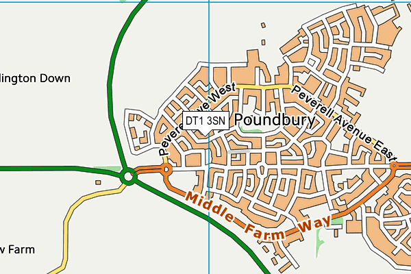 DT1 3SN map - OS VectorMap District (Ordnance Survey)