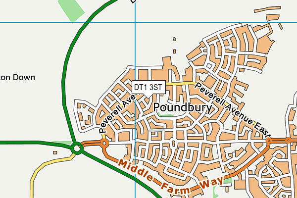 DT1 3ST map - OS VectorMap District (Ordnance Survey)